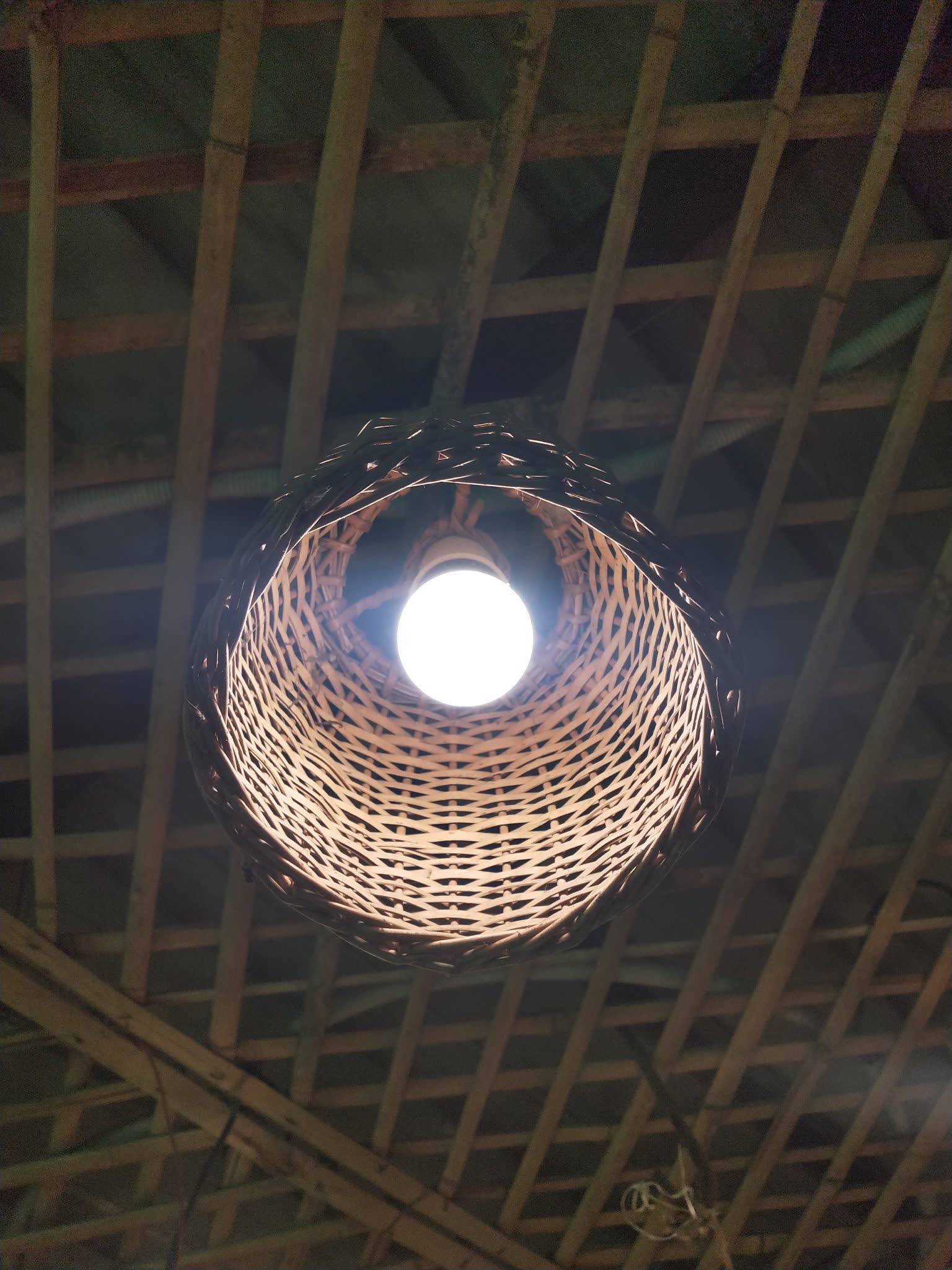 Halden Rattan Pendant - lighting