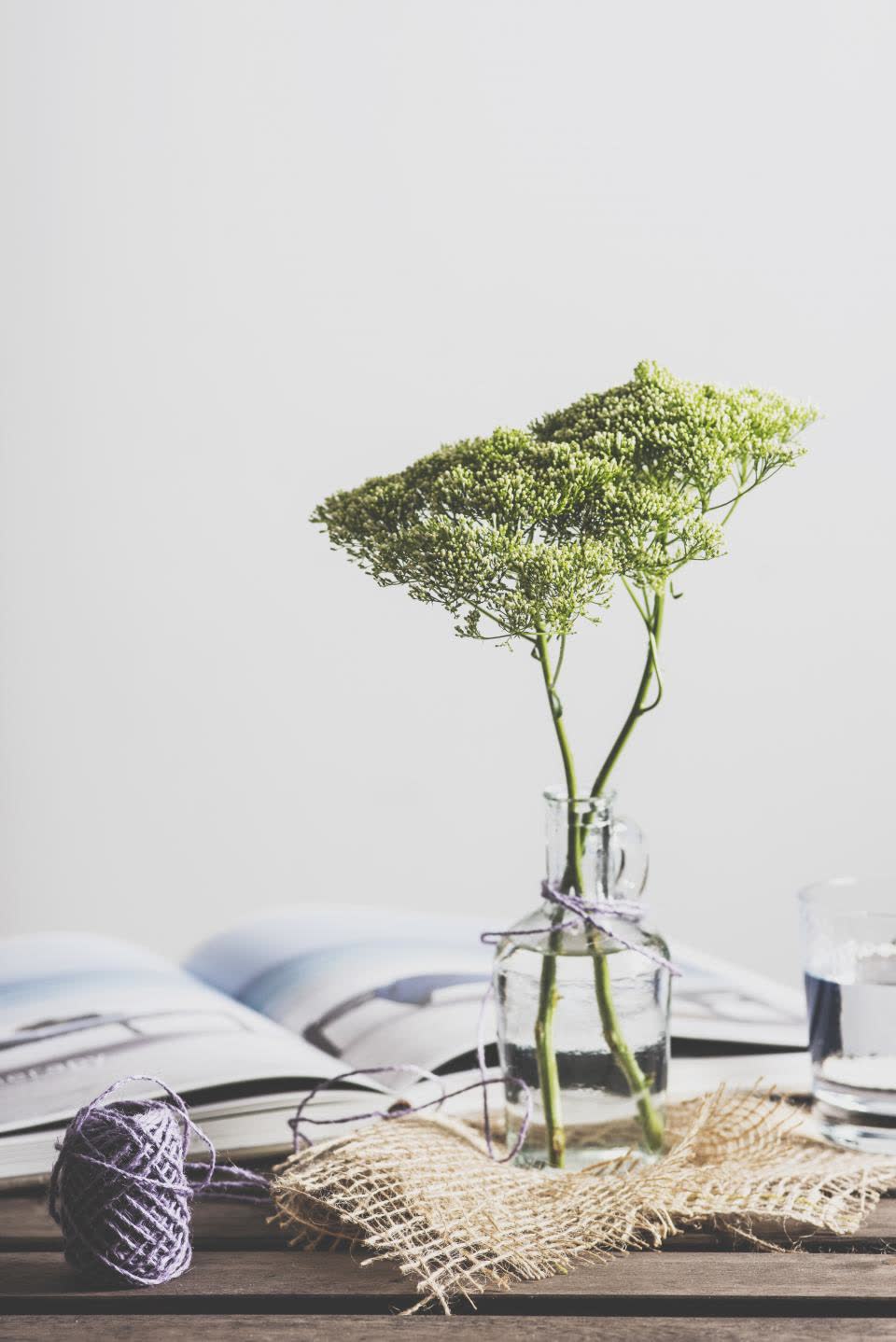 Clear Glass Bud Vase - decor